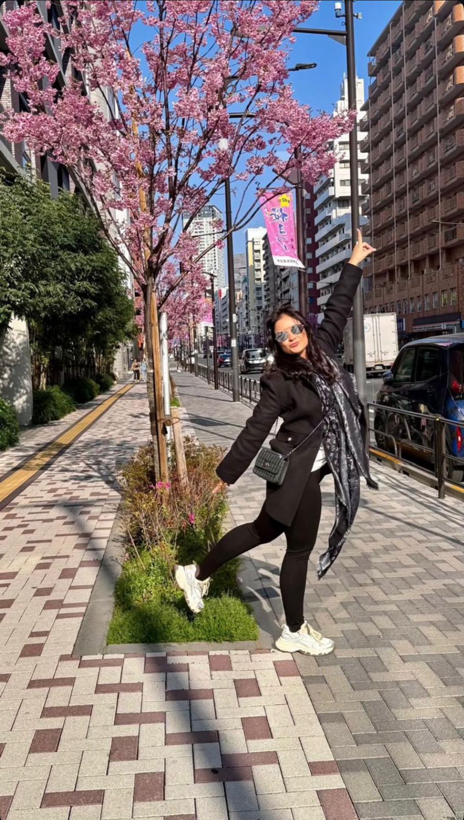 Aryana Torezani e a cerejeira em flor